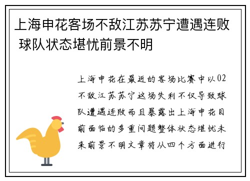 上海申花客场不敌江苏苏宁遭遇连败 球队状态堪忧前景不明